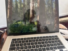 Apple MacBook Air 15,3" (256Go